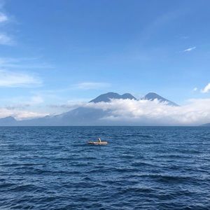 Meet your Posher, Cardell